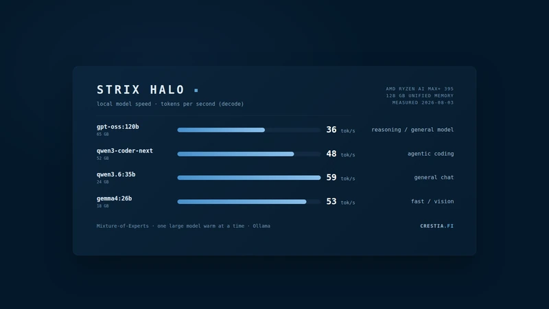 What is Strix Halo? Six months of local AI on AMD hardware